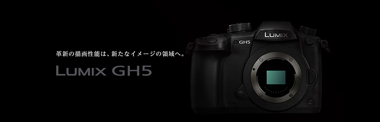 Panasonic DC-GH5