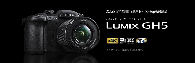 Panasonic DC-GH5