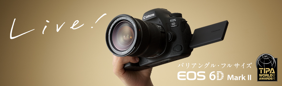 Canon EOS 6D Mark II ボディー