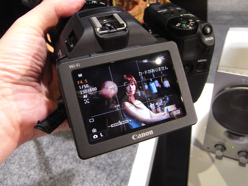 レポート ビデキンちゃんが行く Afternab2015 ビデキンドットコム