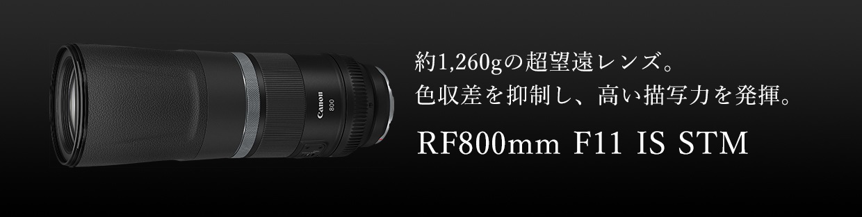 Canon RF800mm F11 IS STM